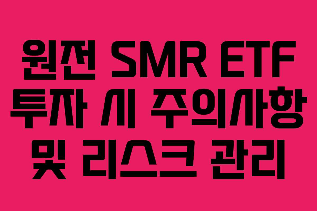 원전 SMR ETF 투자 시 주의사항 및 리스크 관리