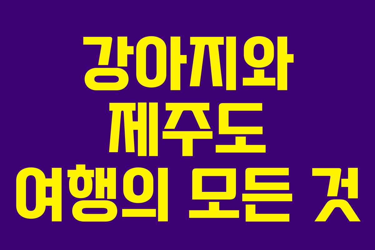 강아지와 제주도 여행의 모든 것