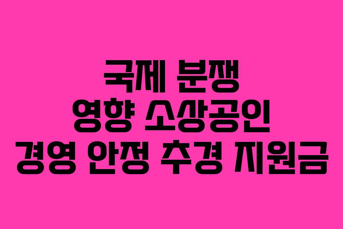 국제 분쟁 영향 소상공인 경영 안정 추경 지원금