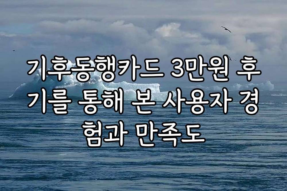 기후동행카드 3만원 후기를 통해 본 사용자 경험과 만족도