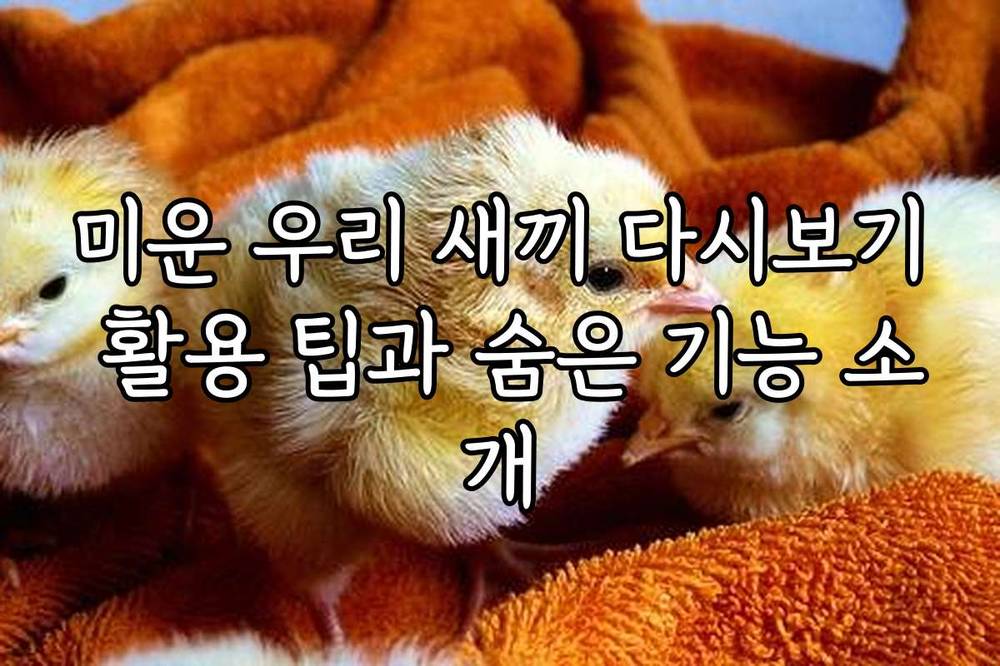 미운 우리 새끼 다시보기 활용 팁과 숨은 기능 소개