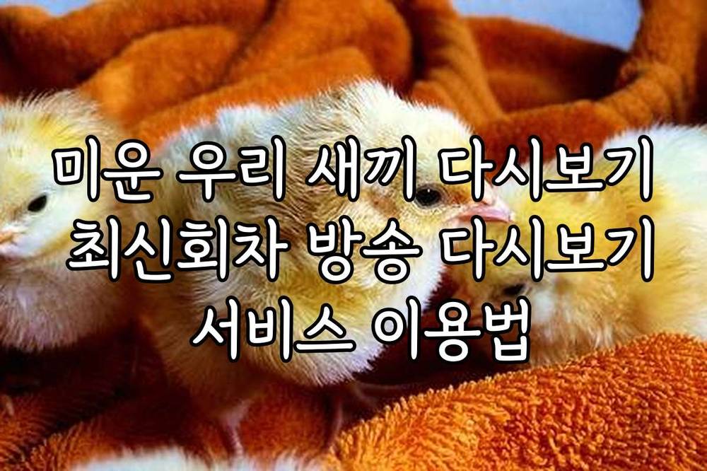 미운 우리 새끼 다시보기 최신회차 방송 다시보기 서비스 이용법