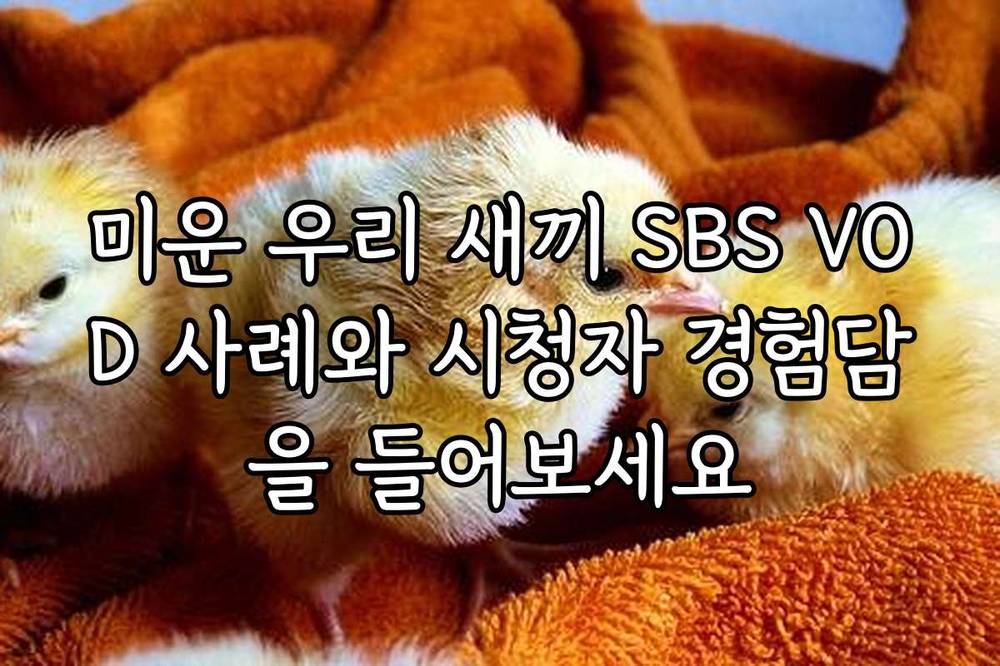 미운 우리 새끼 SBS VOD 사례와 시청자 경험담을 들어보세요