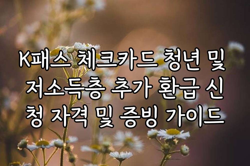 K패스 체크카드 청년 및 저소득층 추가 환급 신청 자격 및 증빙 가이드