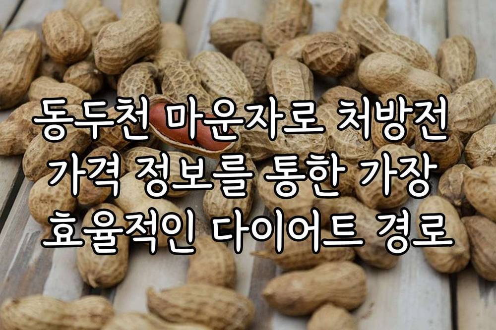 동두천 마운자로 처방전 가격 정보를 통한 가장 효율적인 다이어트 경로