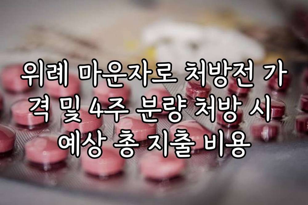 위례 마운자로 처방전 가격 및 4주 분량 처방 시 예상 총 지출 비용