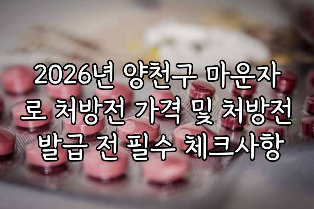 2026년 양천구 마운자로 처방전 가격 및 처방전 발급 전 필수 체크사항