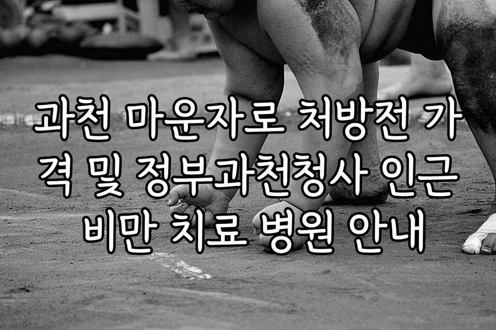 과천 마운자로 처방전 가격 및 정부과천청사 인근 비만 치료 병원 안내