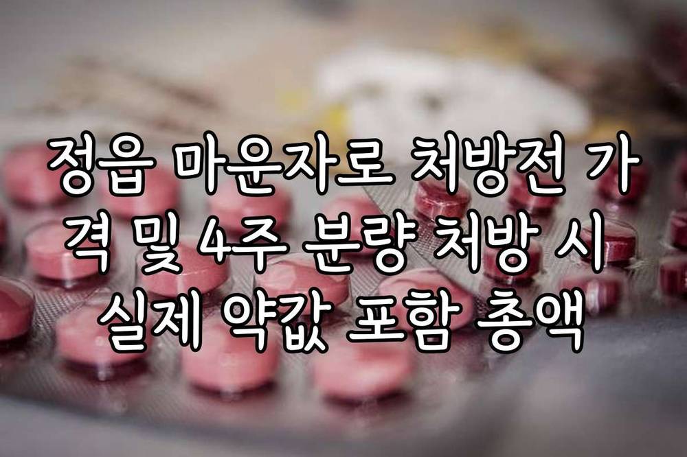 정읍 마운자로 처방전 가격 및 4주 분량 처방 시 실제 약값 포함 총액