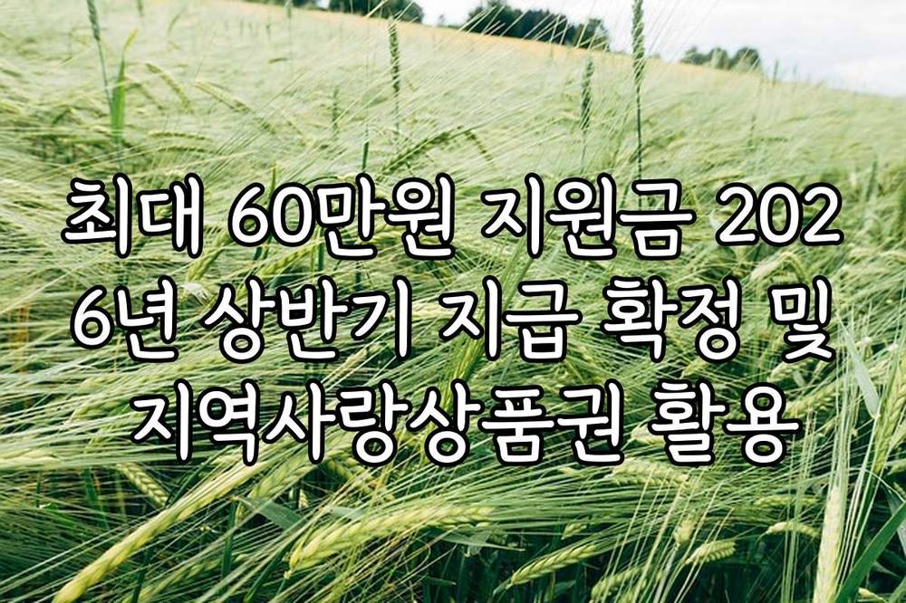 최대 60만원 지원금 2026년 상반기 지급 확정 및 지역사랑상품권 활용