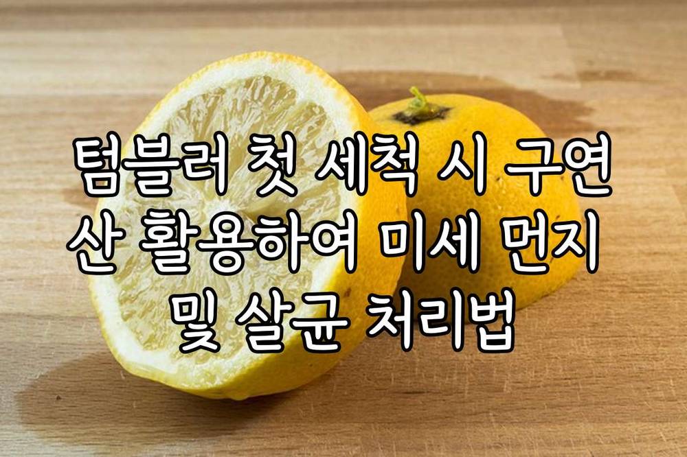 텀블러 첫 세척 시 구연산 활용하여 미세 먼지 및 살균 처리법