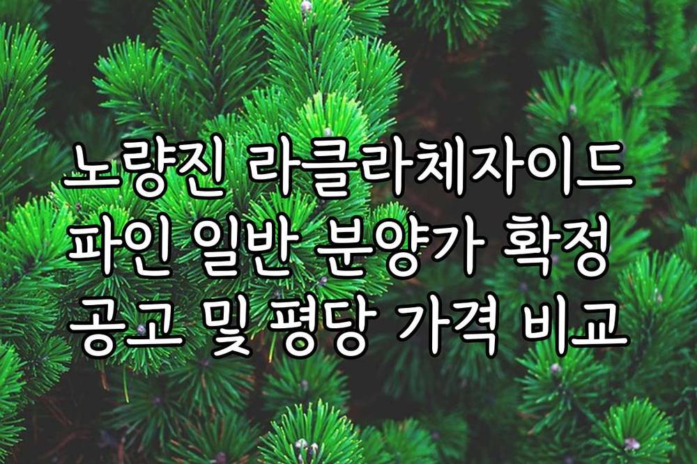 노량진 라클라체자이드파인 일반 분양가 확정 공고 및 평당 가격 비교