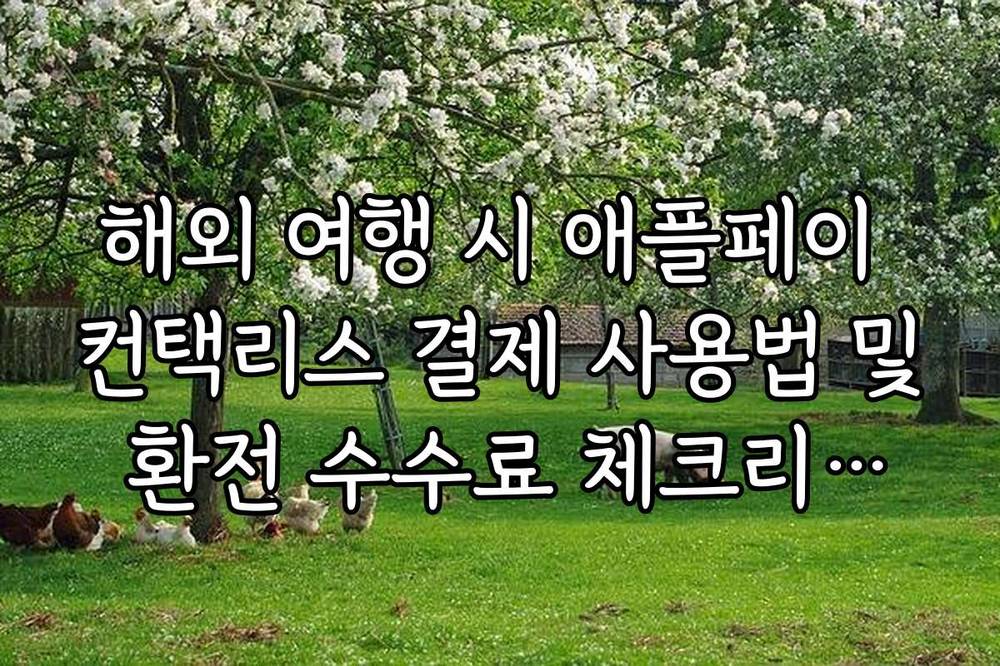 해외 여행 시 애플페이 컨택리스 결제 사용법 및 환전 수수료 체크리스트
