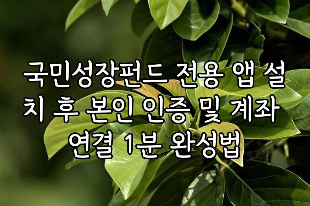 국민성장펀드 전용 앱 설치 후 본인 인증 및 계좌 연결 1분 완성법
