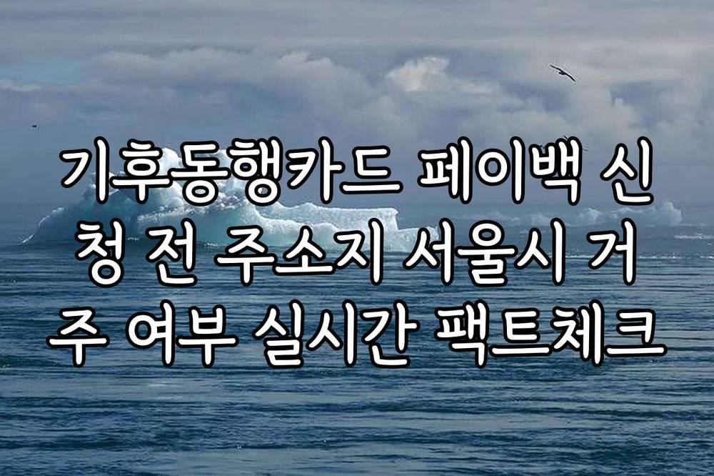 기후동행카드 페이백 신청 전 주소지 서울시 거주 여부 실시간 팩트체크
