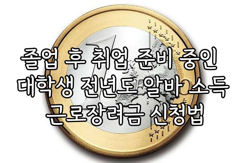 졸업 후 취업 준비 중인 대학생 전년도 알바 소득 근로장려금 신청법