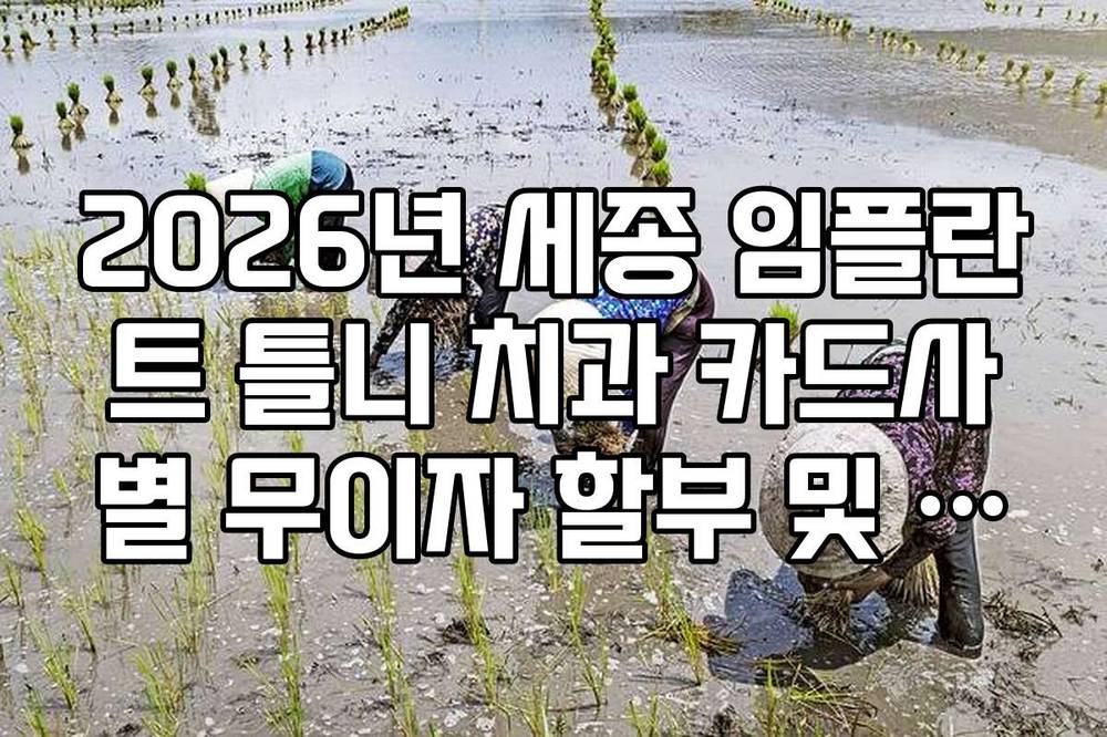 2026년 세종 임플란트 틀니 치과 카드사별 무이자 할부 및 분납 시스템