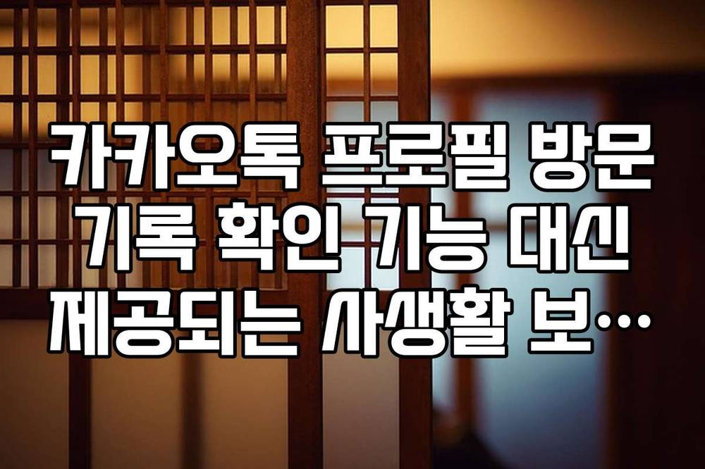 카카오톡 프로필 방문 기록 확인 기능 대신 제공되는 사생활 보호 옵션