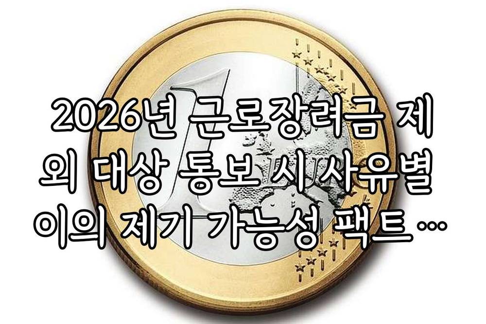 2026년 근로장려금 제외 대상 통보 시 사유별 이의 제기 가능성 팩트체크