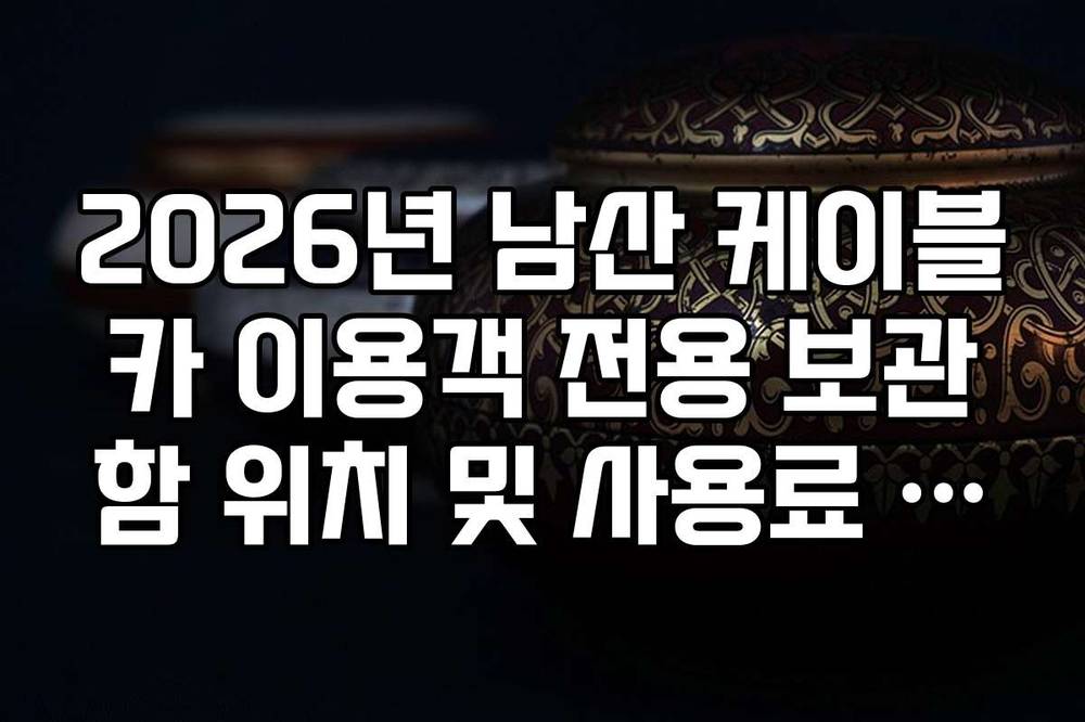 2026년 남산 케이블카 이용객 전용 보관함 위치 및 사용료 안내