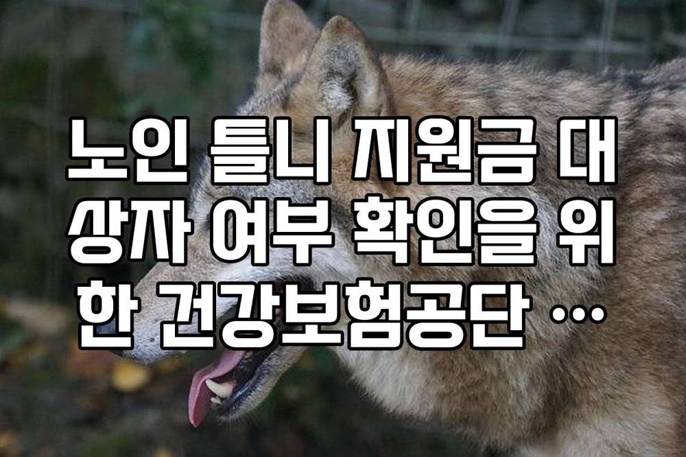 노인 틀니 지원금 대상자 여부 확인을 위한 건강보험공단 조회 가이드