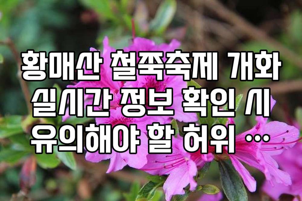 황매산 철쭉축제 개화 실시간 정보 확인 시 유의해야 할 허위 정보 구별법