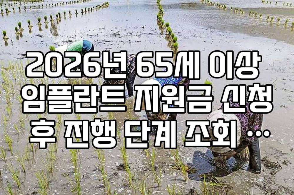 2026년 65세 이상 임플란트 지원금 신청 후 진행 단계 조회 가이드