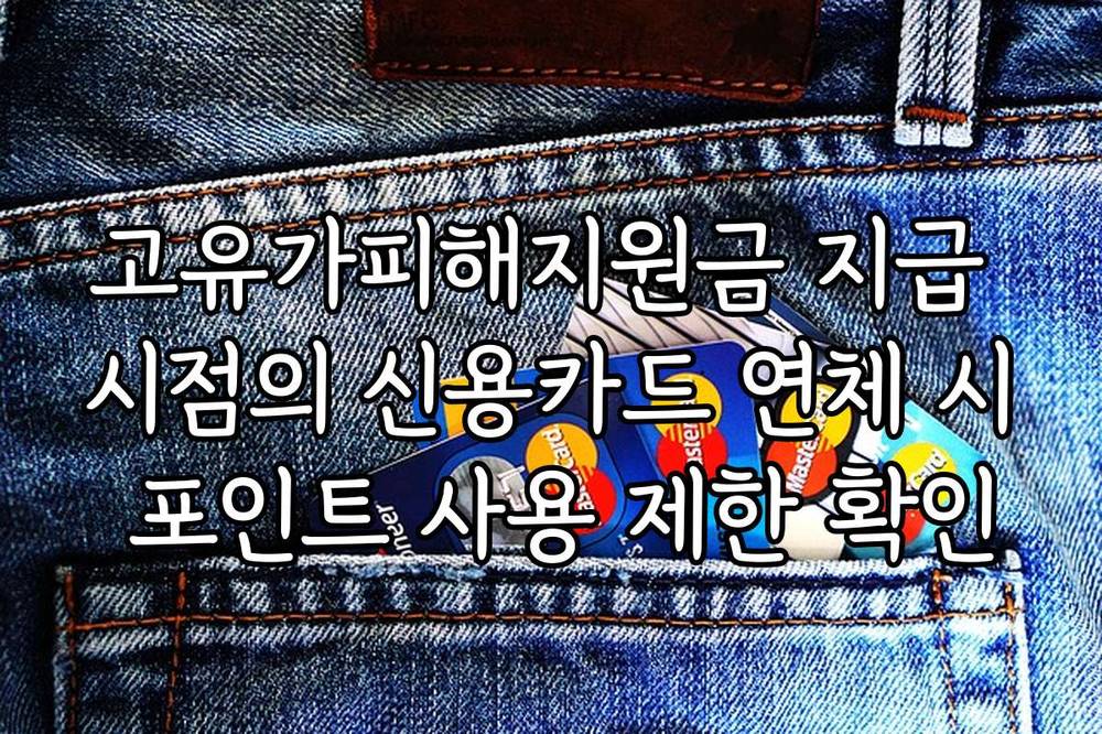 고유가피해지원금 지급 시점의 신용카드 연체 시 포인트 사용 제한 확인