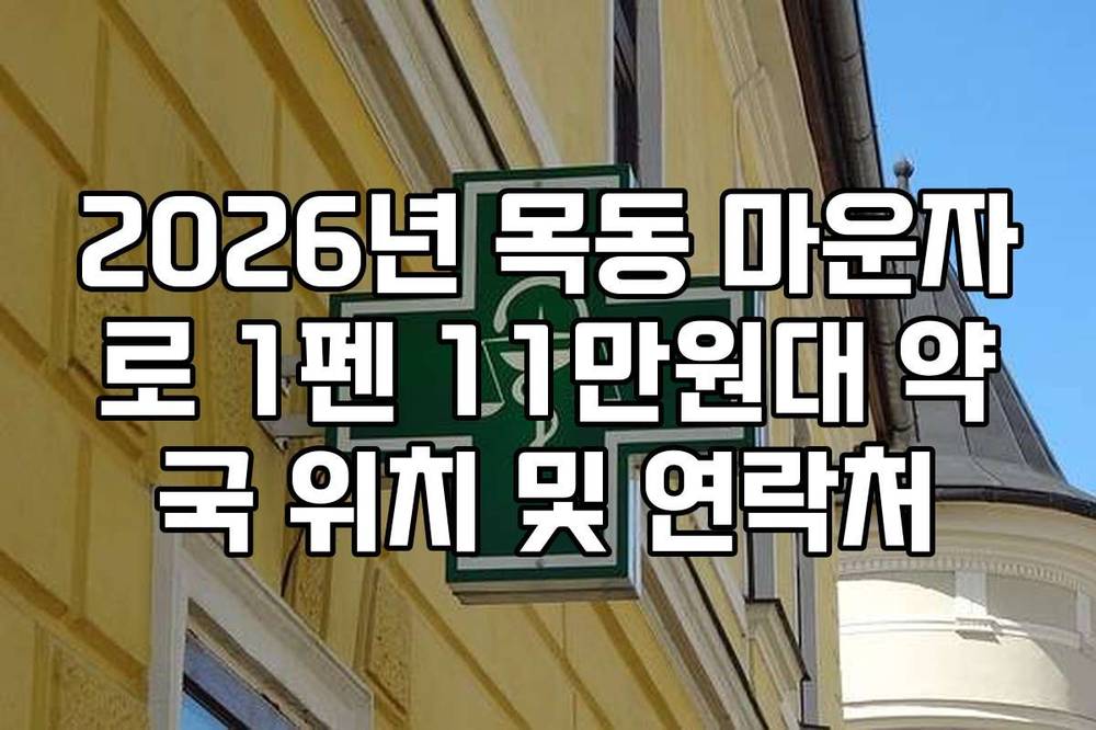 2026년 목동 마운자로 1펜 11만원대 약국 위치 및 연락처