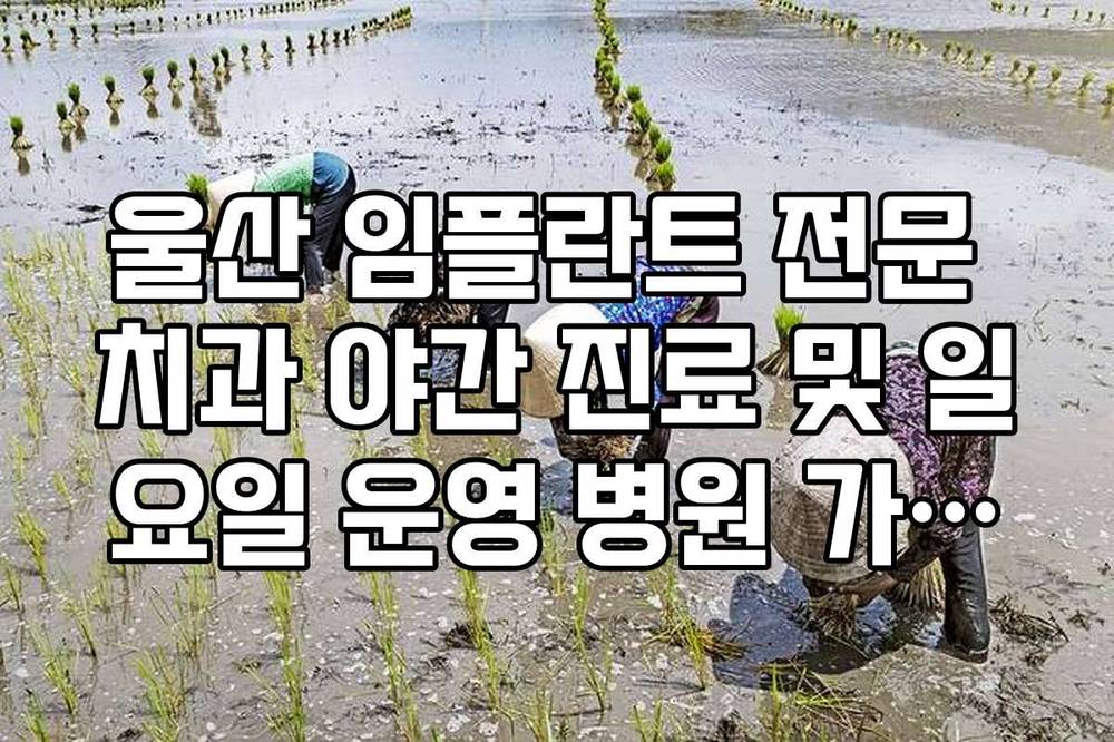울산 임플란트 전문 치과 야간 진료 및 일요일 운영 병원 가이드
