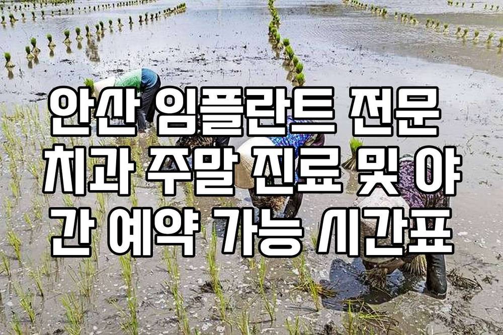 안산 임플란트 전문 치과 주말 진료 및 야간 예약 가능 시간표