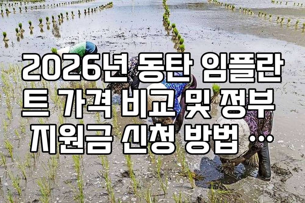 2026년 동탄 임플란트 가격 비교 및 정부 지원금 신청 방법 가이드