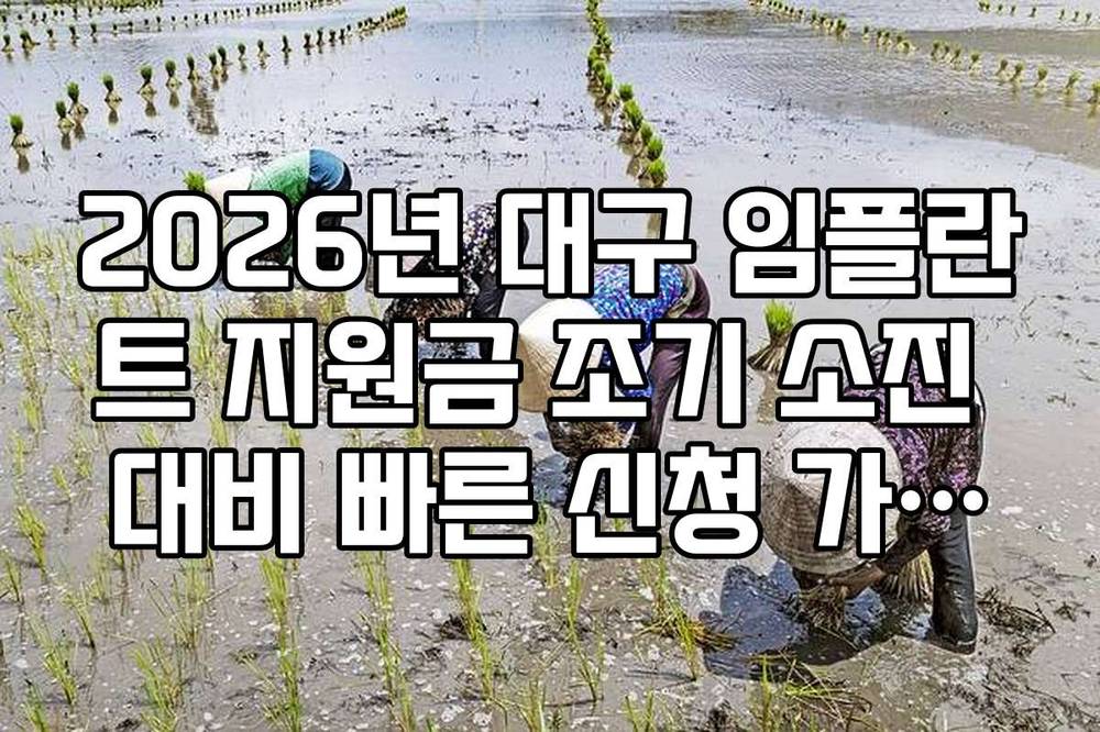 2026년 대구 임플란트 지원금 조기 소진 대비 빠른 신청 가이드