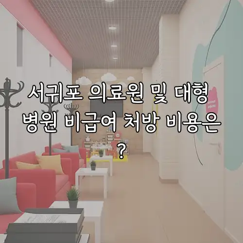 서귀포 의료원 및 대형 병원 비급여 처방 비용은?