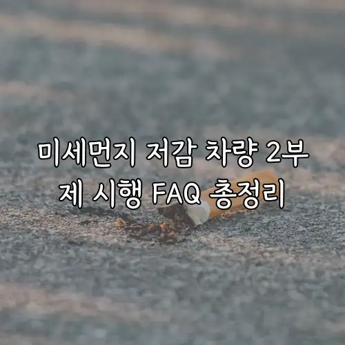 미세먼지 저감 차량 2부제 시행 FAQ 총정리