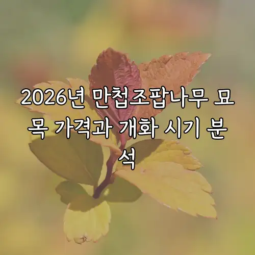 2026년 만첩조팝나무 묘목 가격과 개화 시기 분석