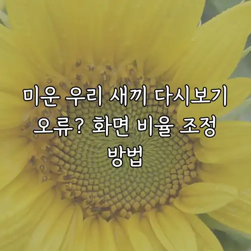 미운 우리 새끼 다시보기 오류? 화면 비율 조정 방법