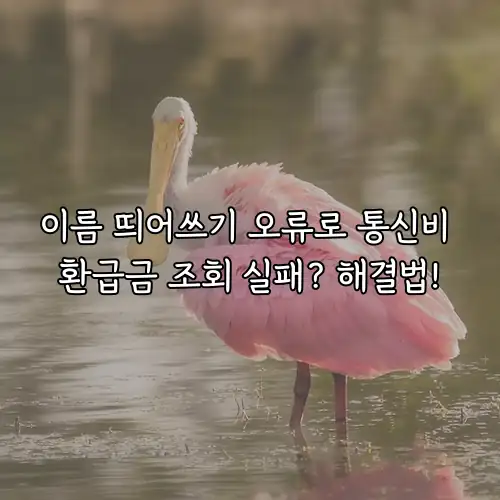 이름 띄어쓰기 오류로 통신비 환급금 조회 실패? 해결법!