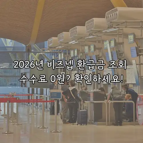 2026년 비즈넵 환급금 조회 수수료 0원? 확인하세요!