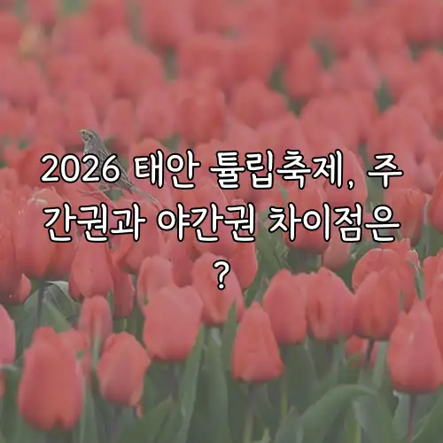 2026 태안 튤립축제, 주간권과 야간권 차이점은?