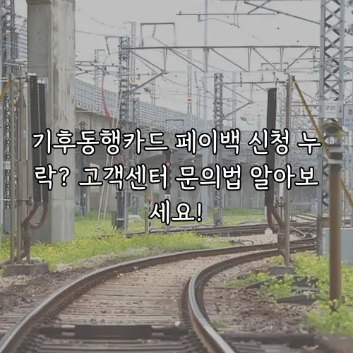 기후동행카드 페이백 신청 누락? 고객센터 문의법 알아보세요!