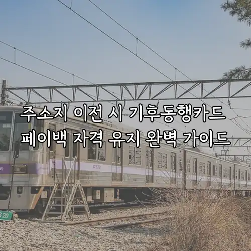 주소지 이전 시 기후동행카드 페이백 자격 유지 완벽 가이드