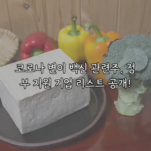 코로나 변이 백신 관련주, 정부 지원 기업 리스트 공개!