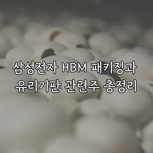 삼성전자 HBM 패키징과 유리기판 관련주 총정리