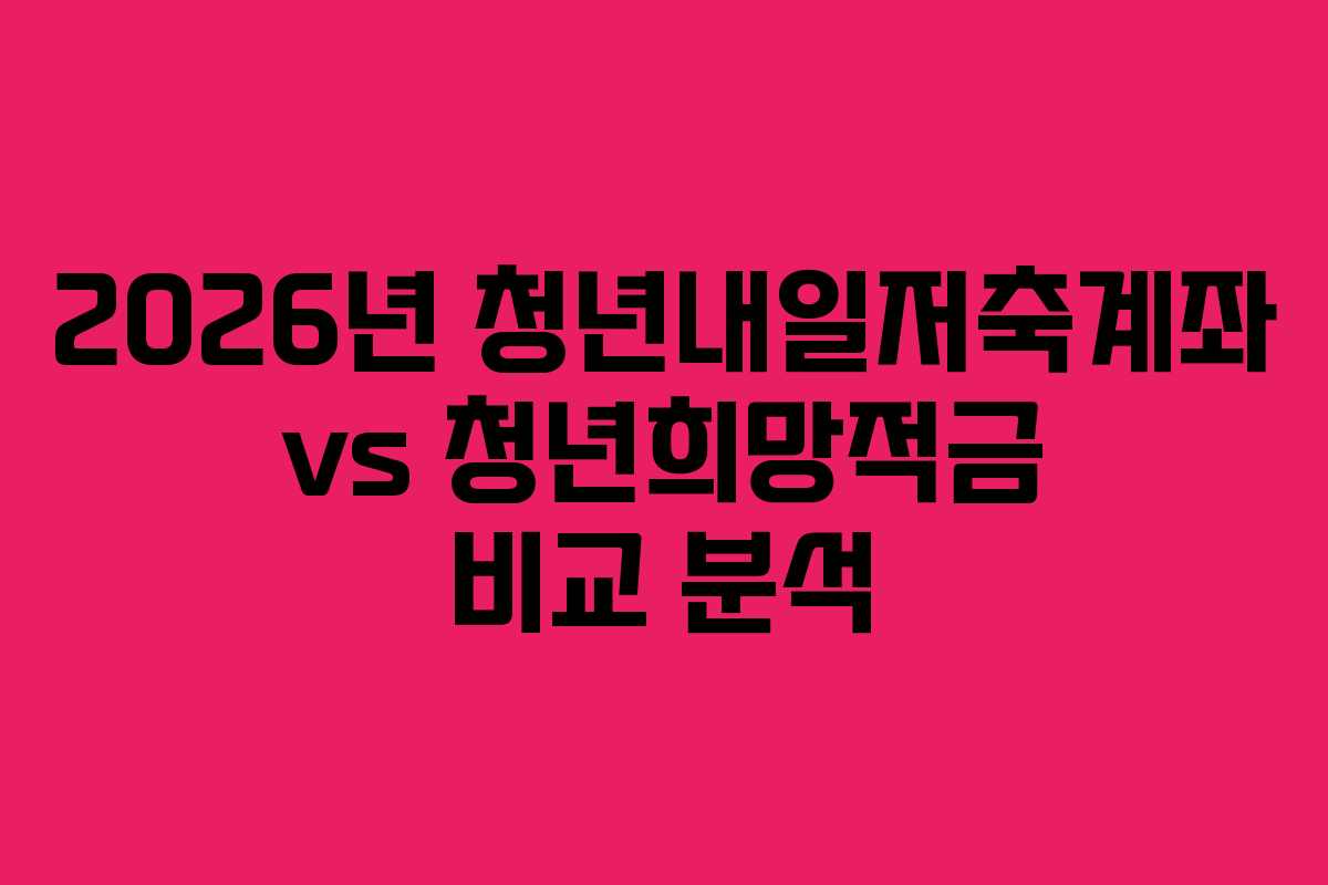 2026년 청년내일저축계좌 vs 청년희망적금 비교 분석
