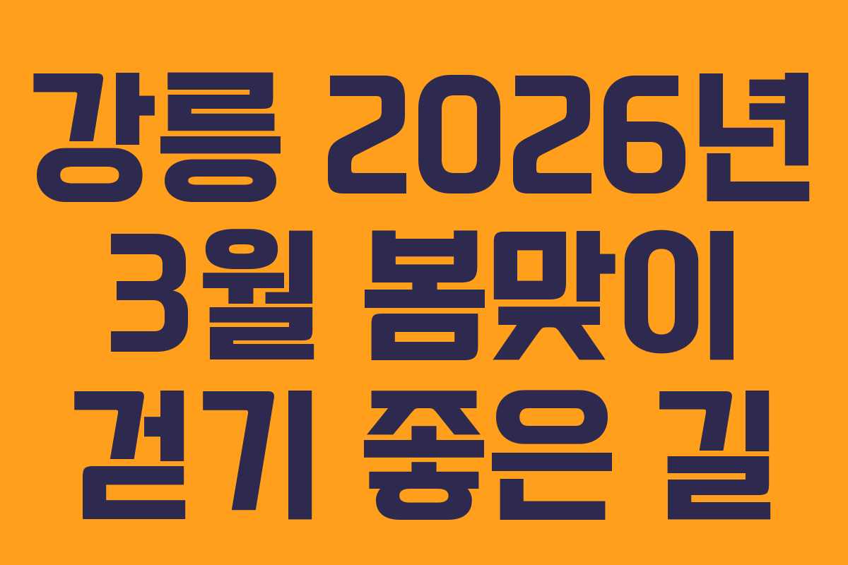 강릉 2026년 3월 봄맞이 걷기 좋은 길