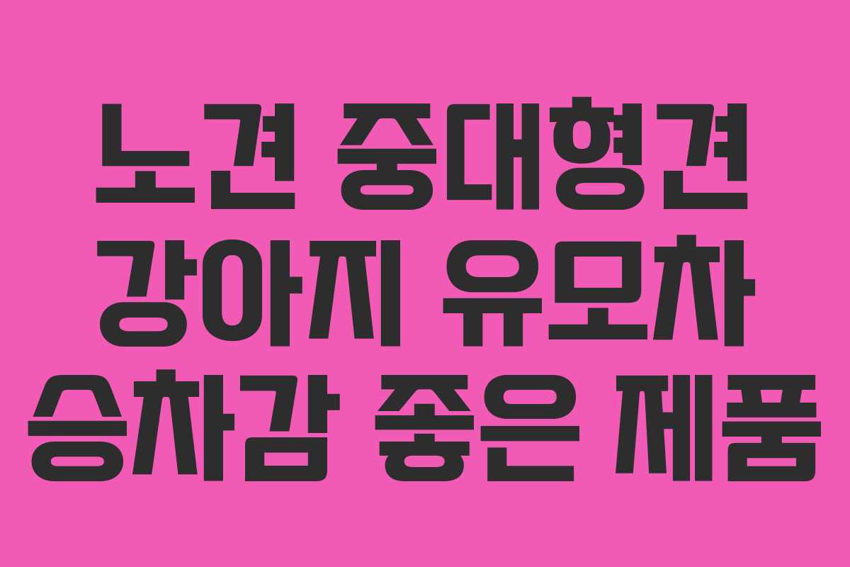 노견 중대형견 강아지 유모차 승차감 좋은 제품