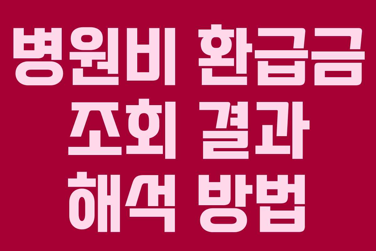 병원비 환급금 조회 결과 해석 방법