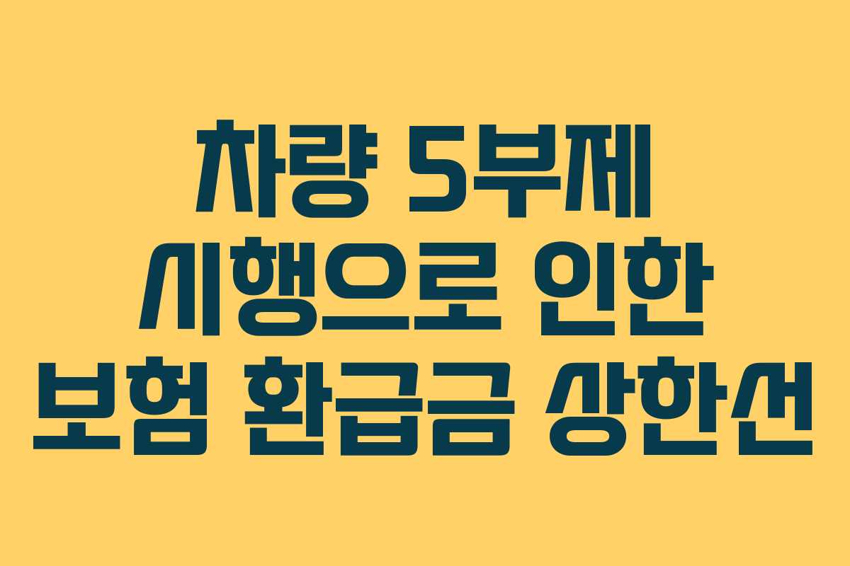 차량 5부제 시행으로 인한 보험 환급금 상한선 차량 5부제 시행으로 인한 보험 환급금 상한선