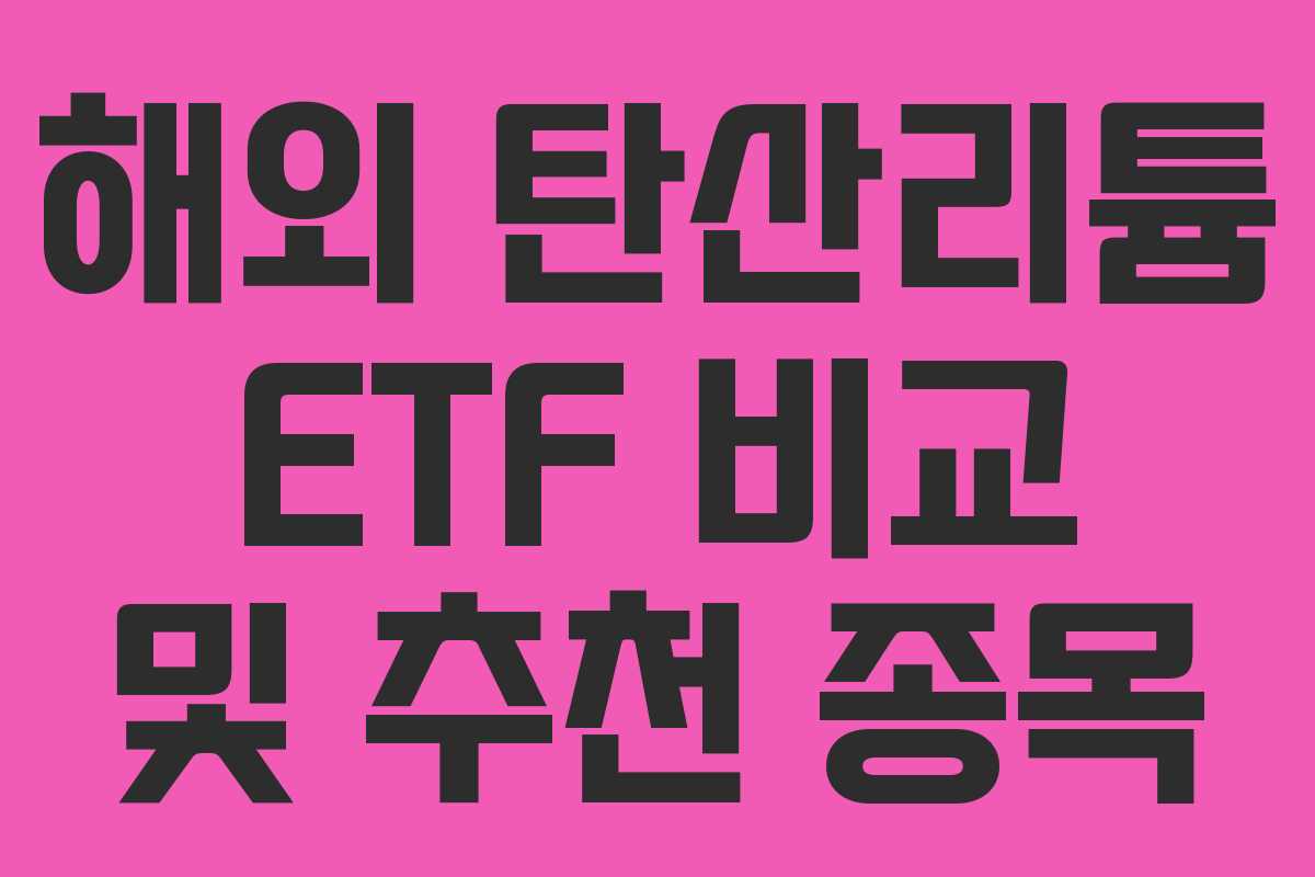 해외 탄산리튬 ETF 비교 및 추천 종목